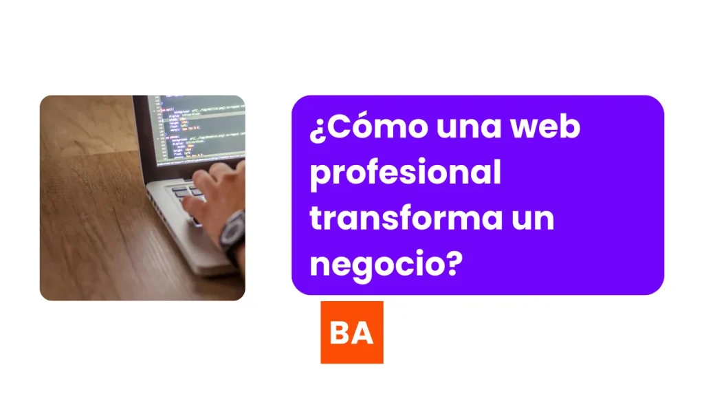 web profesional