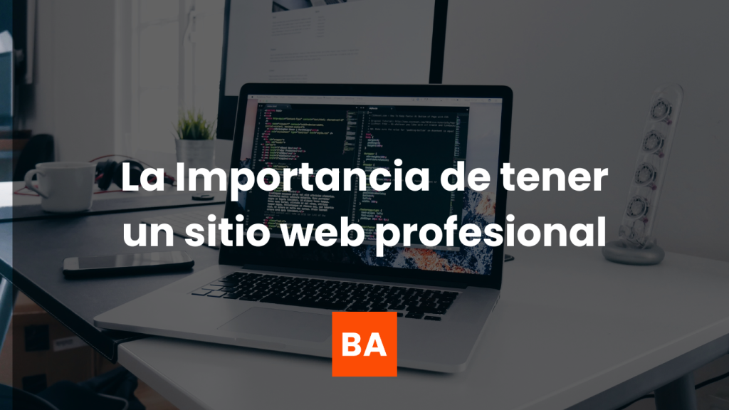 web profesional
